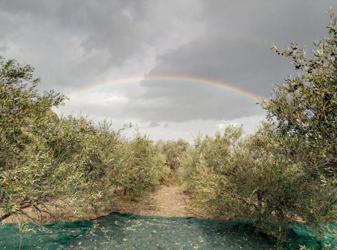 Grassetti Villa Montegiordano Dış mekan fotoğraf