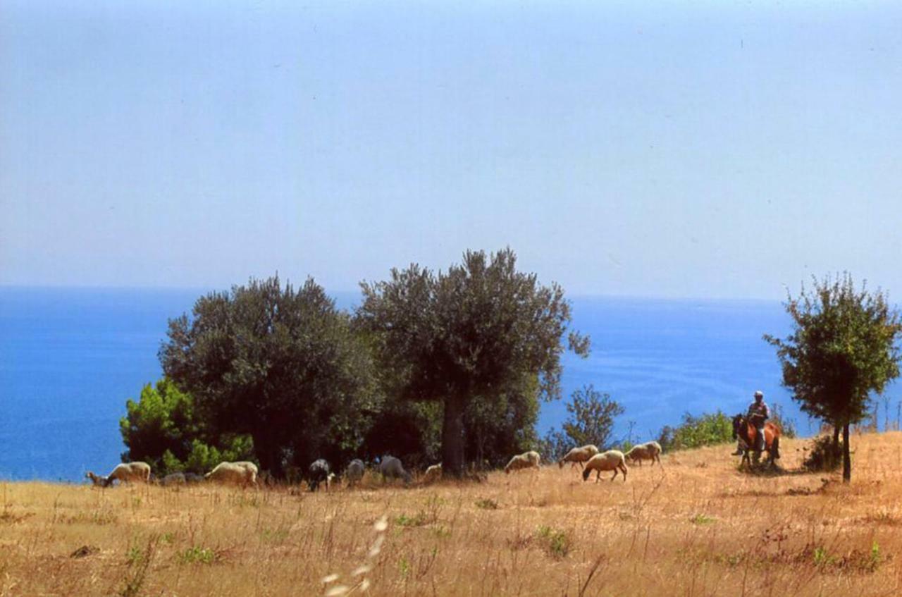 Grassetti Villa Montegiordano Dış mekan fotoğraf