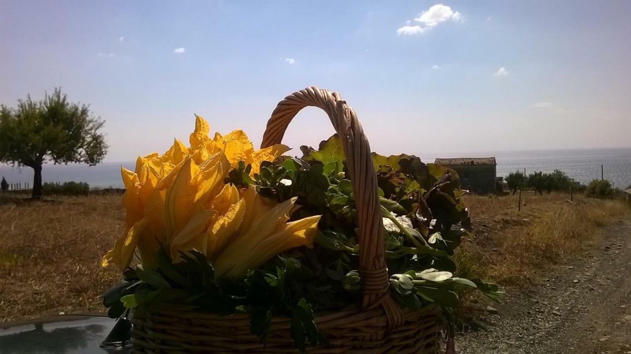 Grassetti Villa Montegiordano Dış mekan fotoğraf