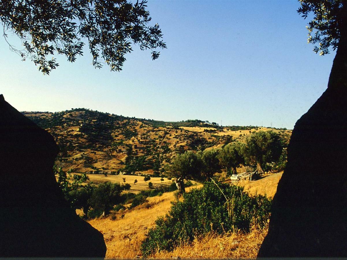 Grassetti Villa Montegiordano Dış mekan fotoğraf